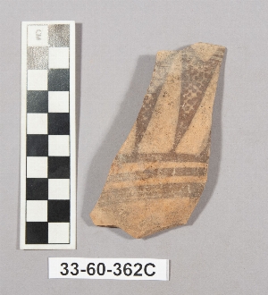 33-60-362C