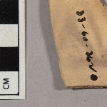 675496