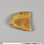 676221