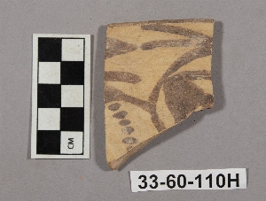33-60-110H