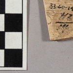 676334