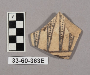 33-60-363E