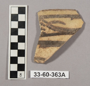 33-60-363A