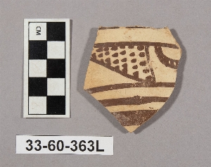 33-60-363L