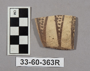 33-60-363R