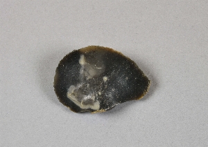 EU926B