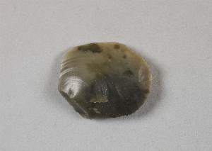 EU937