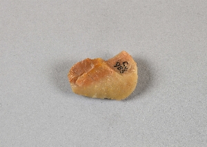 EU983