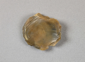 EU994A