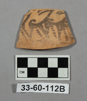 33-60-112B