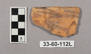 33-60-112L