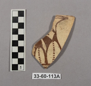 33-60-113A