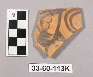 33-60-113K