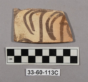 33-60-113C