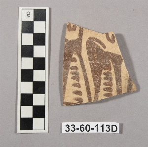 33-60-113D