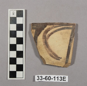 33-60-113E
