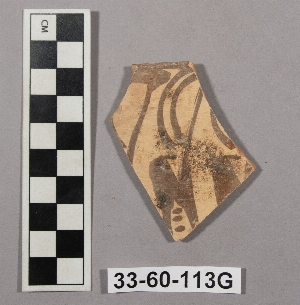 33-60-113G