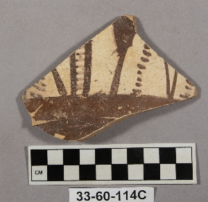 33-60-114C