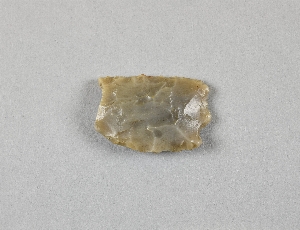 EU1107