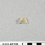 678025