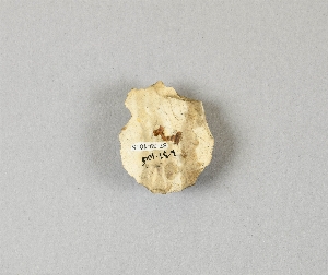 87-39-1015
