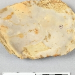 680516