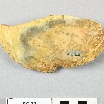 680518
