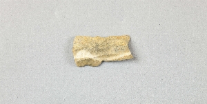 EU456A