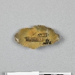 681413