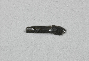 EU1702D
