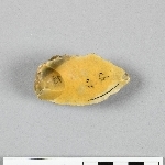 681653