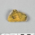 681702