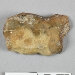 681821