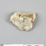 681981