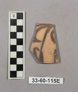 33-60-115E