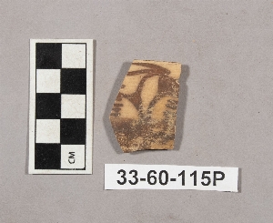 33-60-115P