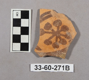 33-60-271B