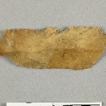 683516