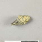 684031