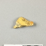 684519