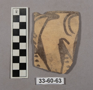 33-60-63