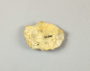 EU905