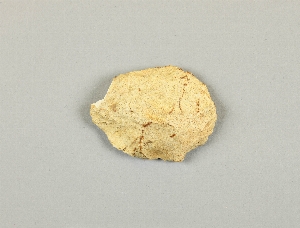 40-10-369