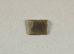12090.2