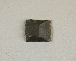 12091.3