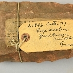 696711