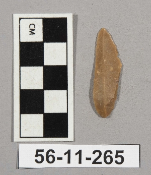 56-11-265