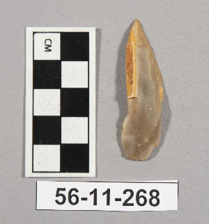 56-11-268