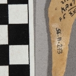 697154