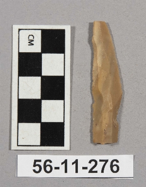 56-11-276